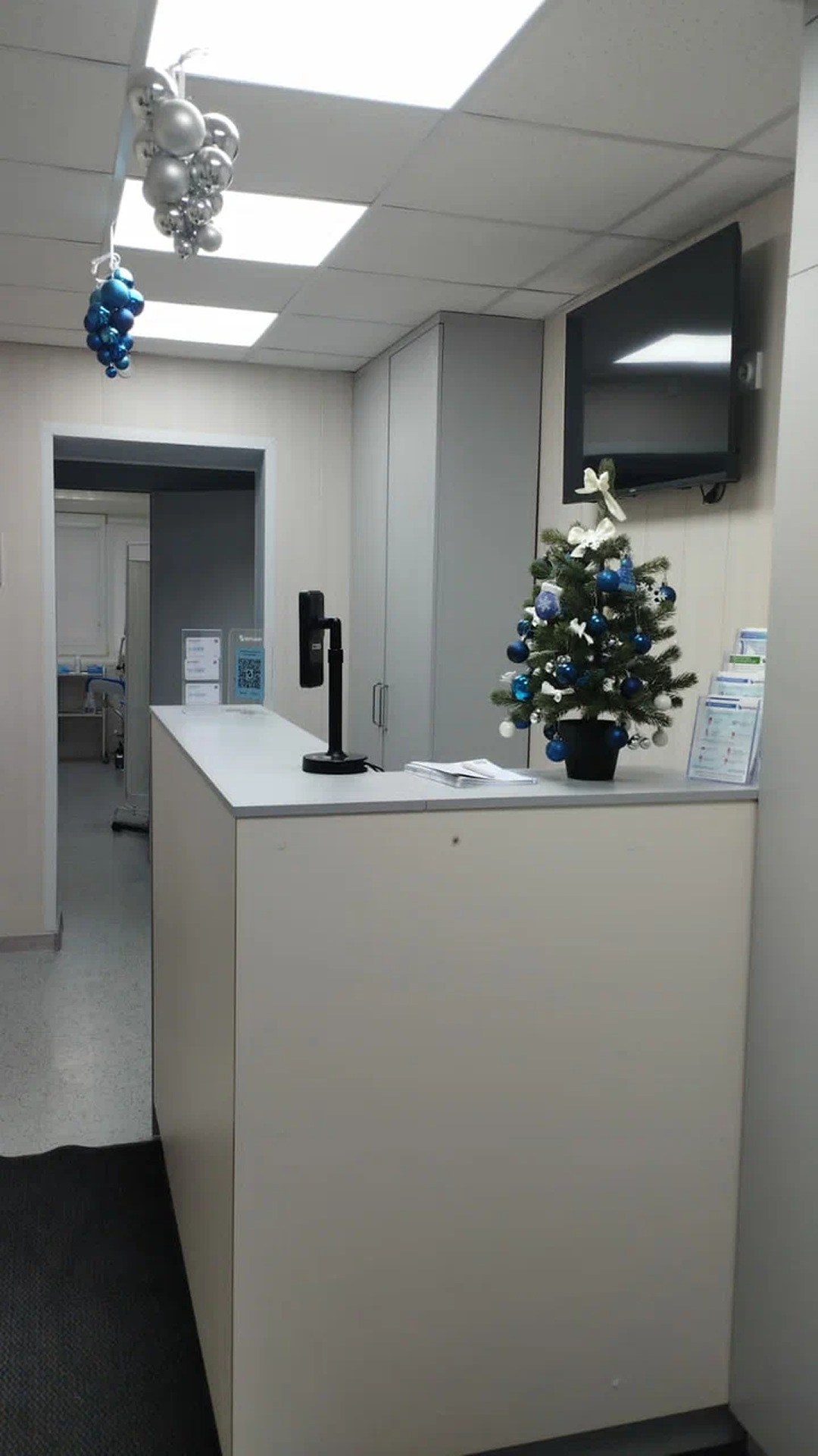 Коллагеновый гель-желе со вкусом цитруса 1 — фото 4